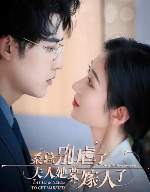 潮汐站日剧全集在线观看